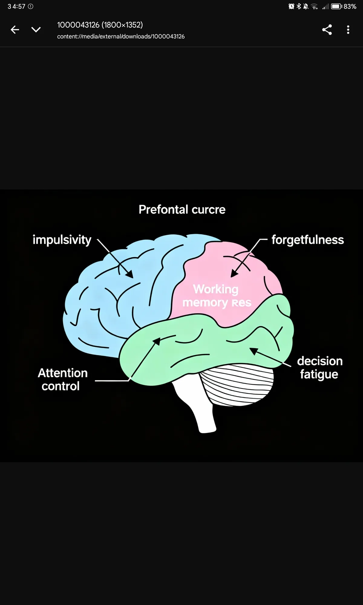 man carrying black leather backpack